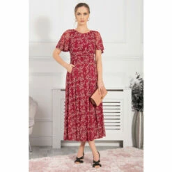 Jolie Moi Red Julita Mesh Maxi Dress -Jolie Moi Shop unnamed file 1004