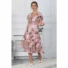 Jolie Moi Acela Pink Floral Print Mesh Dress -Jolie Moi Shop unnamed file 115